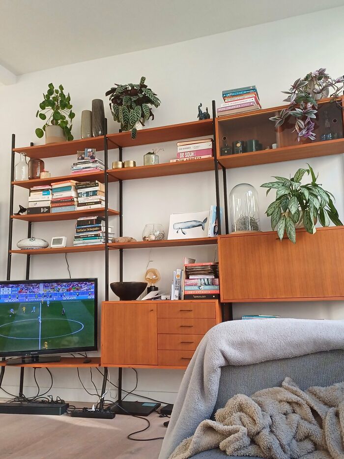 Cute-There-Is-No-Cat-Images