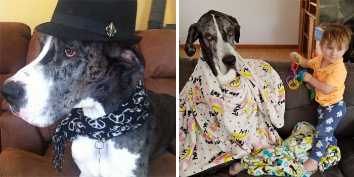 Best-Before-After-Having-Kids-Got-Toddlered