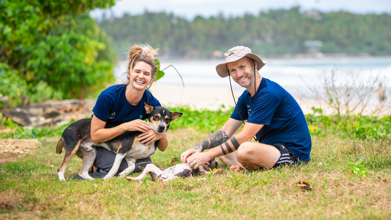Stray Dog Is Melting Hearts Online For Bringing A Gift For Man Every time He Comes To Feed Her
