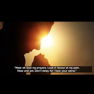 rosemariemunoz avatar