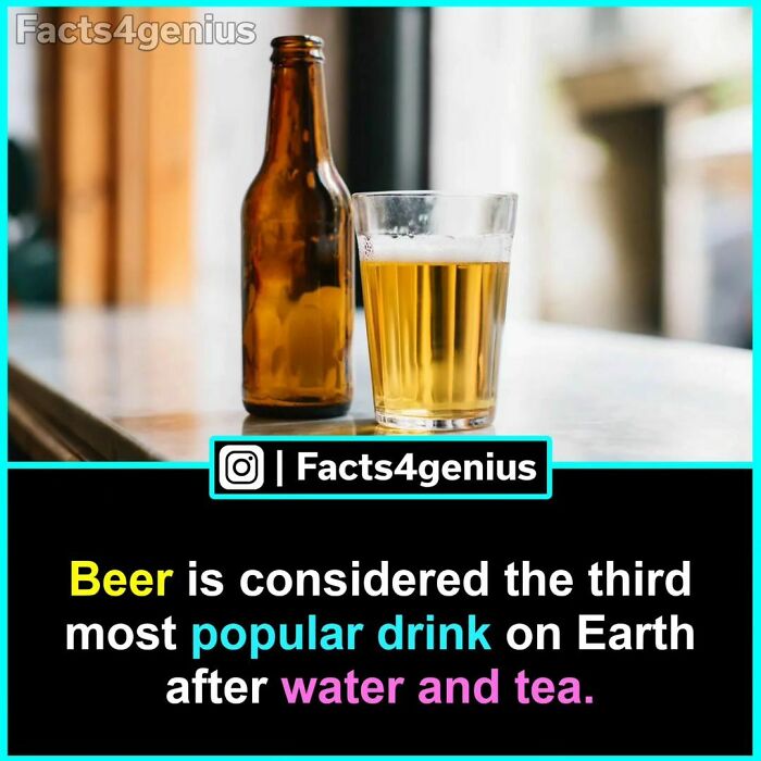 Beer bottle and glass on a table, labeled fact about beer being the third most popular drink on Earth.