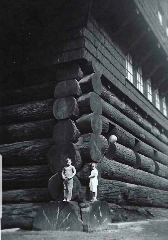 Children standing next to a massive log structure, illustrating overwhelming size that triggers megalophobia fear response.