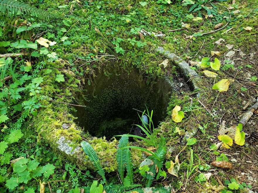 I Think I Found Some Kind Of Bomb Shelter In A National Forest..?