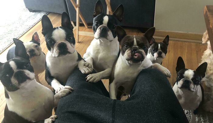 POV: You Just Open A Pack Of Gum In Class