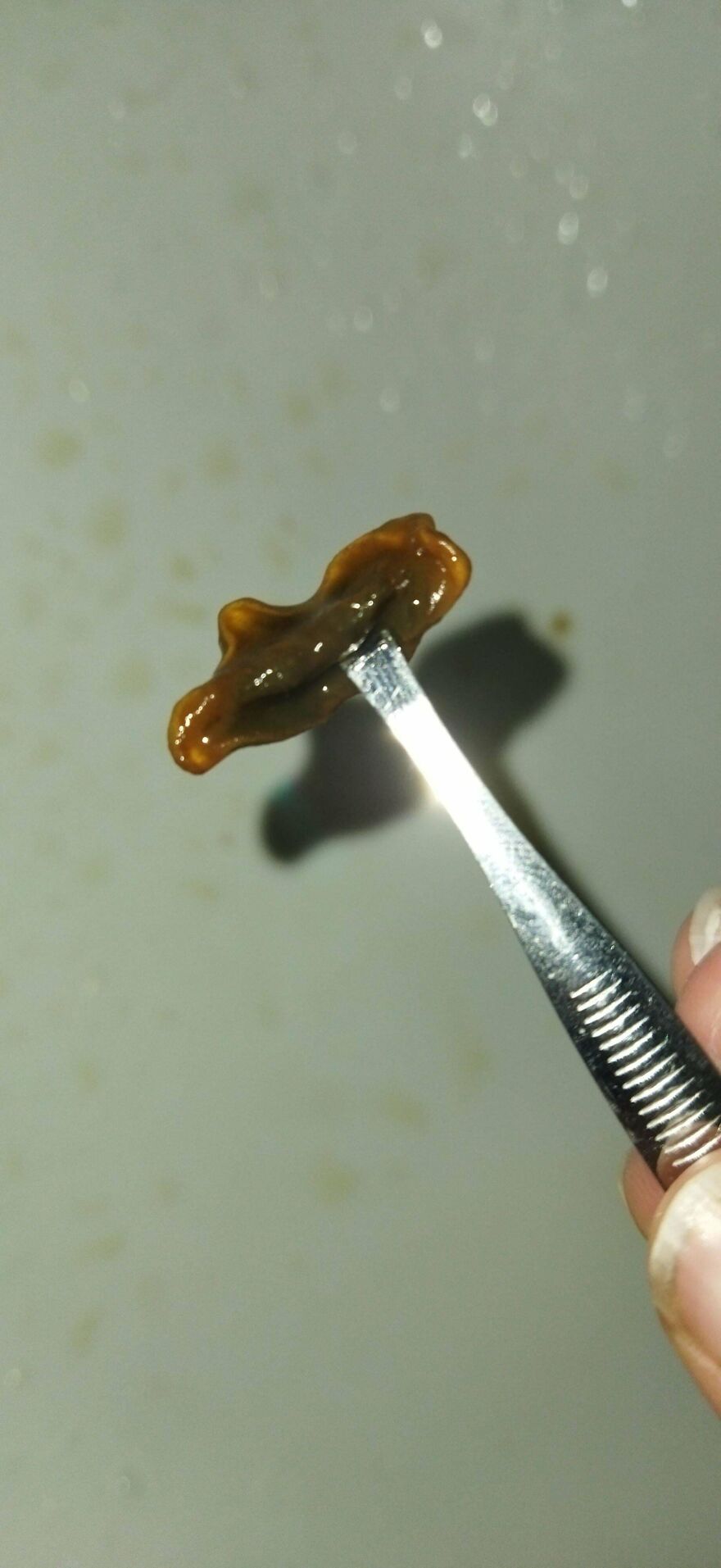 Found This In My Apple Juice. Any Clues What It Could Be?