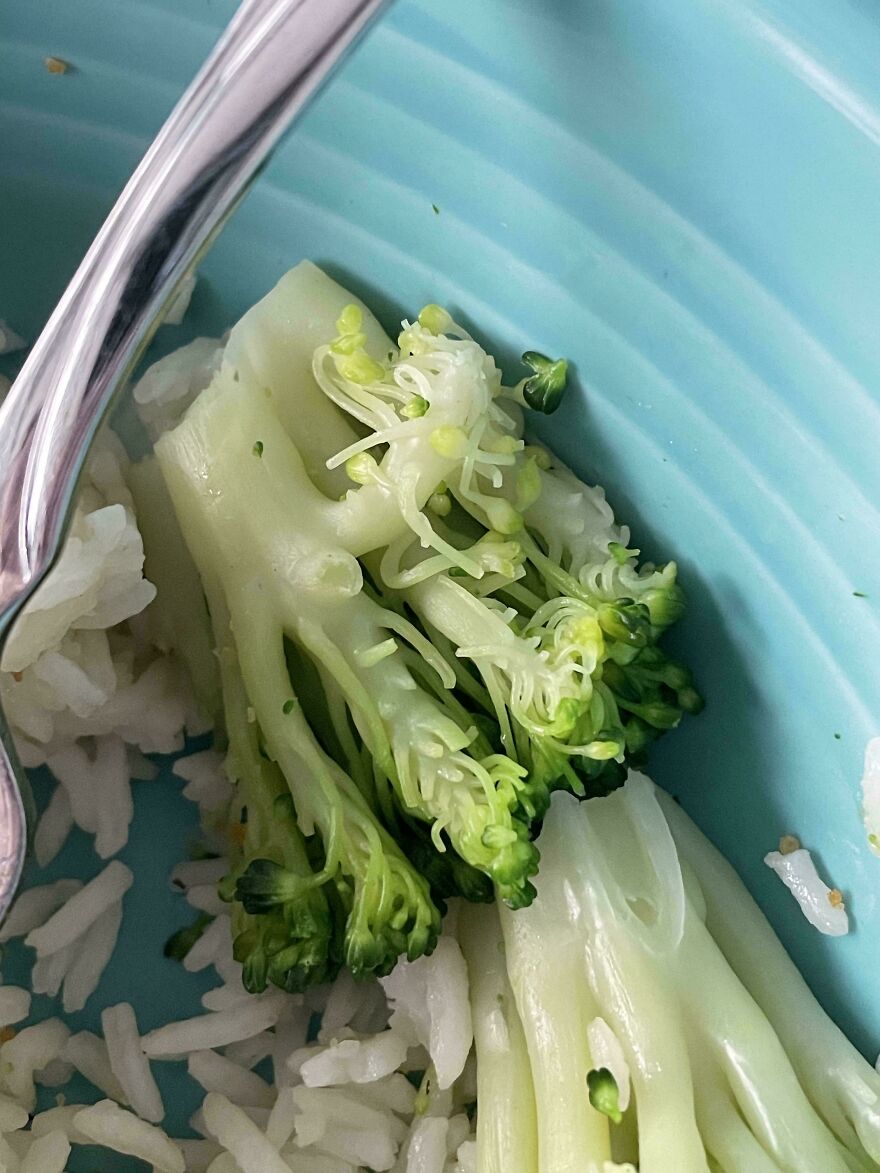 Why Is My Broccoli Weird? :(