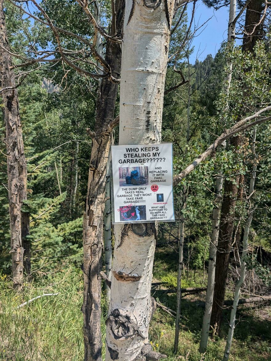 The Case Of The Imposter Trash