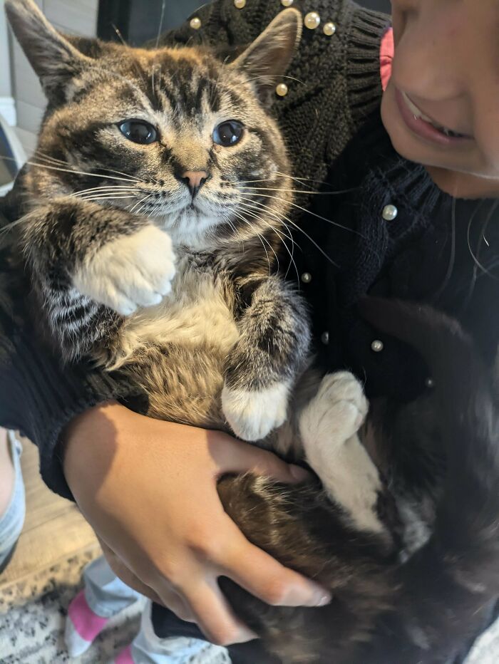 I Met Mr. Peanut At A Friend's House. He Likes Food, Cuddling, And Sleeping