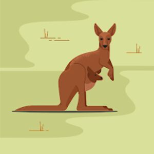 colepatterson avatar