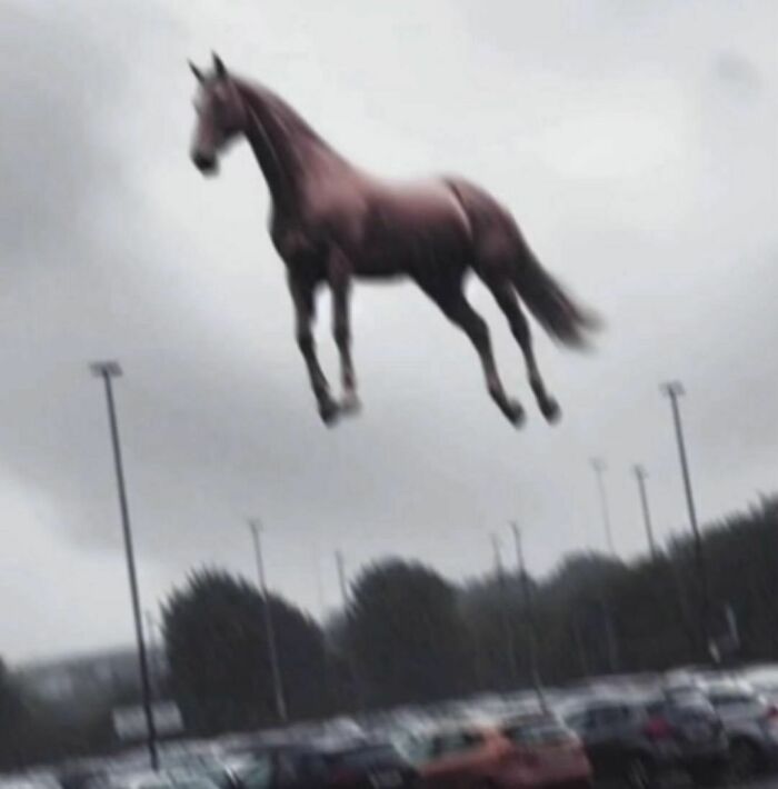 Blurry photo of a horse seemingly floating in the air above a parking lot, a random photo difficult to begin processing.