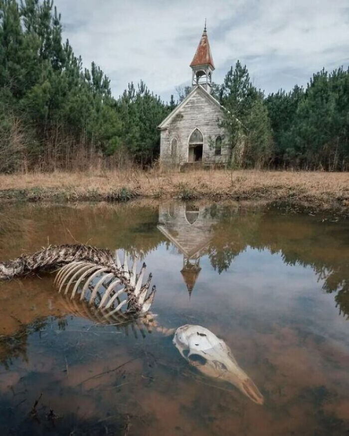 Abandoned building with an evil aura reflected in water near animal skeleton in a creepy, isolated landscape.