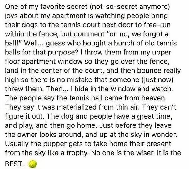 Text image of a humorous story about secretly throwing tennis balls for dogs to play with, making it funny for dog owners.