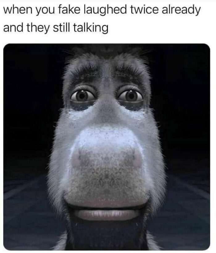 Meme of a donkey with a resigned expression and text: "when you fake laughed twice already and they still talking."