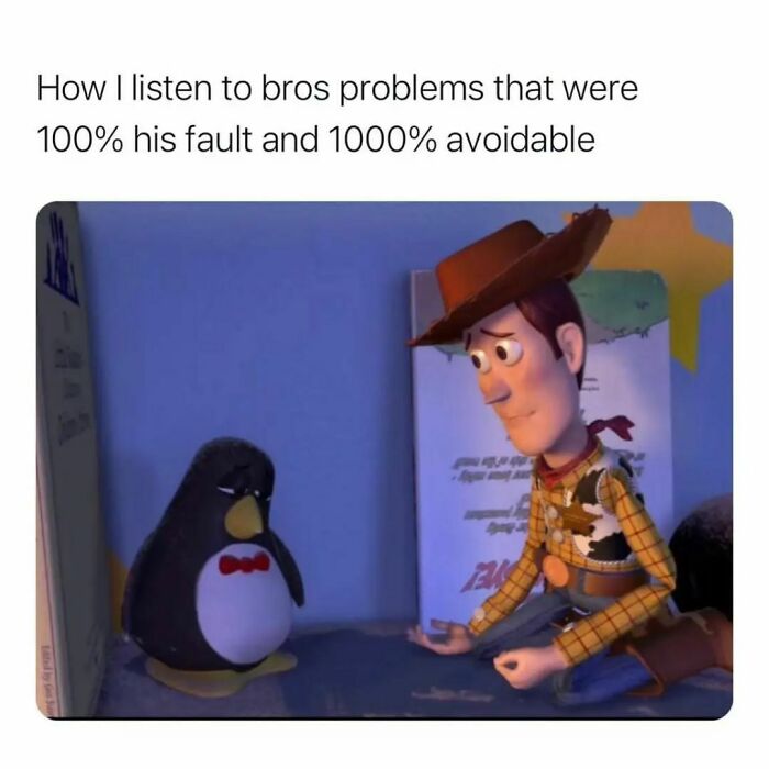 Woody from Toy Story looking sympathetically at a sad penguin, a hilarious meme depicting bros' avoidable problems.