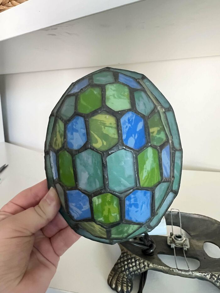 Scored A Turtle Lamp For $2