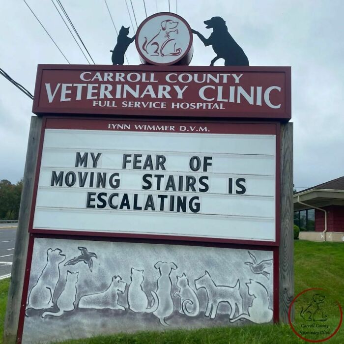 Veterinary clinic sign with joke: "My fear of moving stairs is escalating."