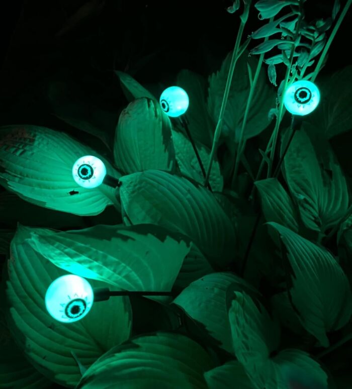 All Eyes Are On You... Literally! The Solar Eyeballs Stare Down Your Garden Visitors With An Unblinking, Unsettling Gaze