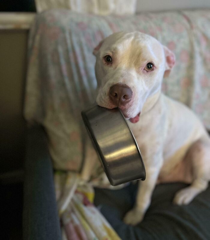 He’s An Award-Winning Actor. We’re Apparently Starving Him