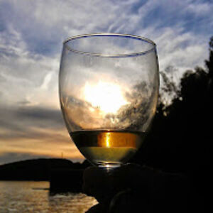 barbaraarmstrong avatar