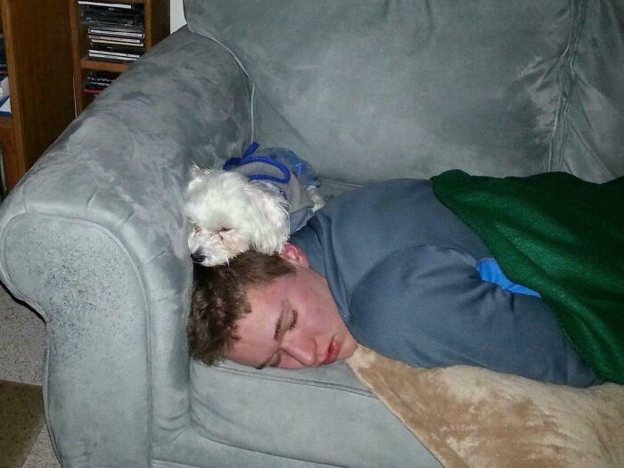 My Family's First Dog Taking Care Of Me While I Had The Flu (2014)