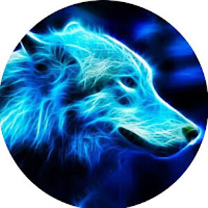 wolfstar avatar