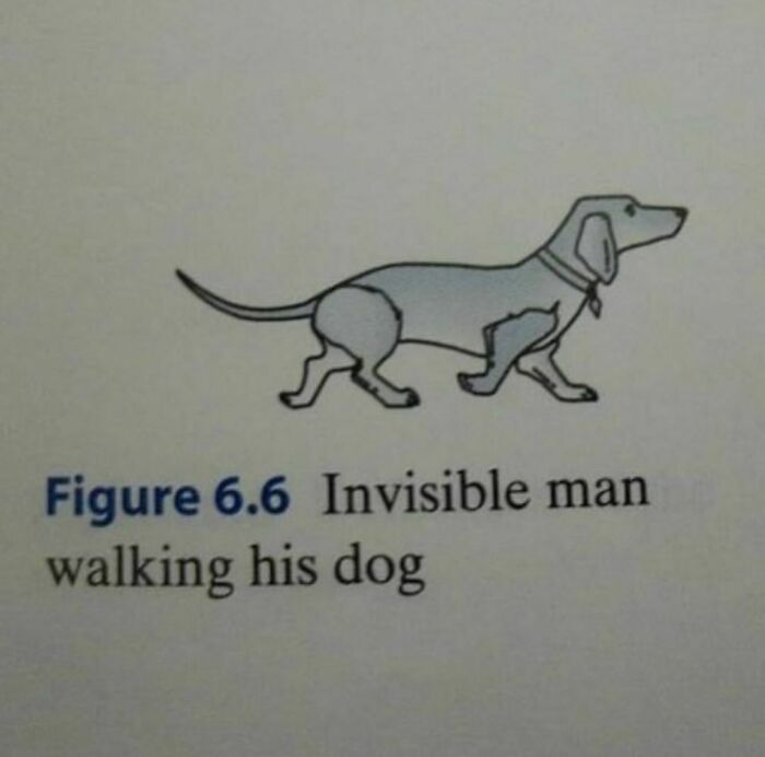 Illustration of an invisible man walking his dog, a random photo showcasing creative visual processing challenges.