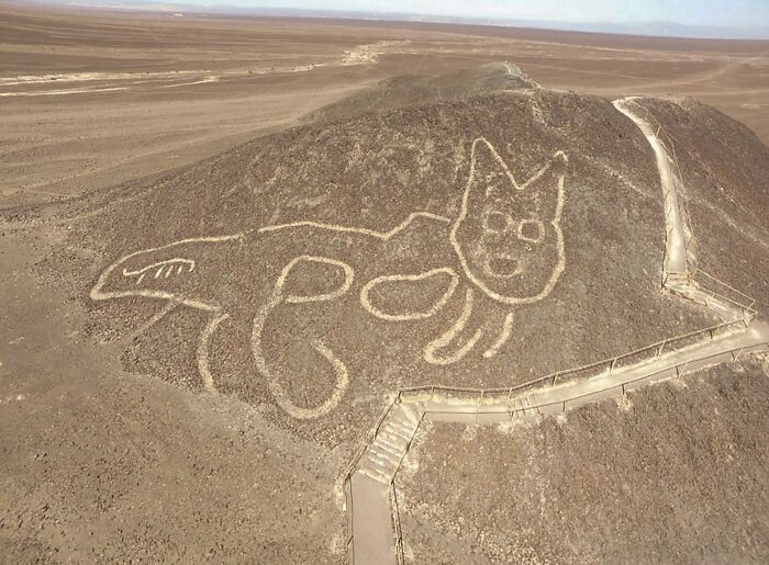 A 2000-Year-Old Giant Cat Geoglyph Was Discovered 4 Months Ago Amid Peru's Famous Nazca Lines, A Unesco World Heritage Site