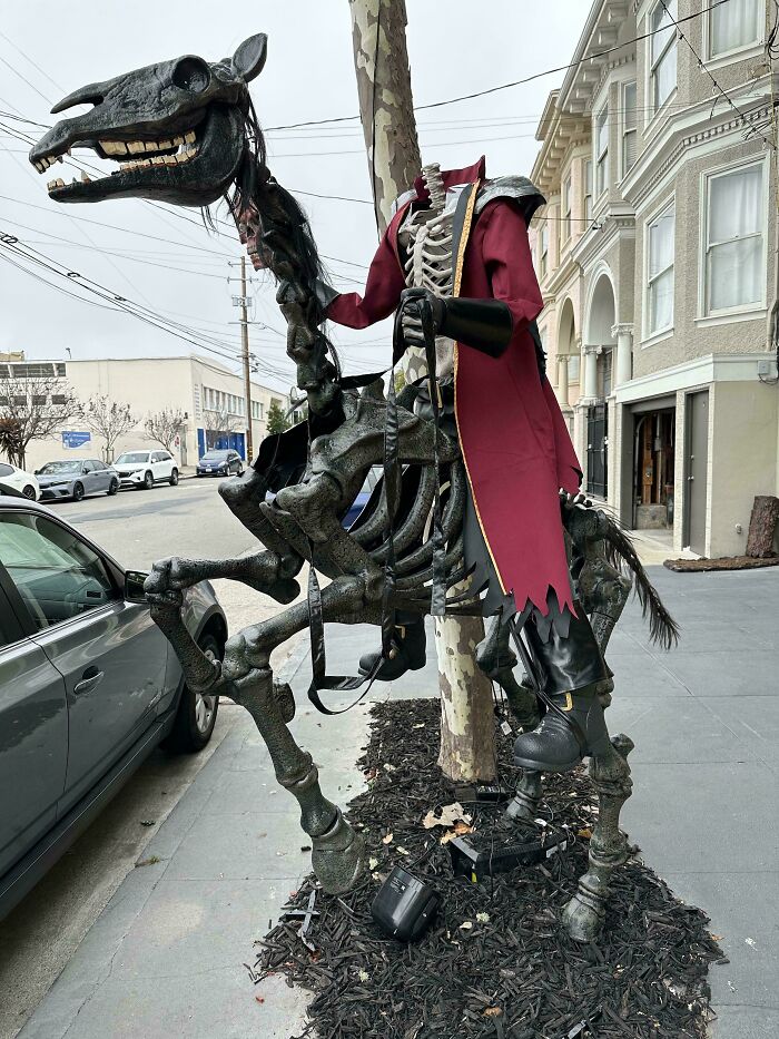 This Guy’s Halloween Decoration