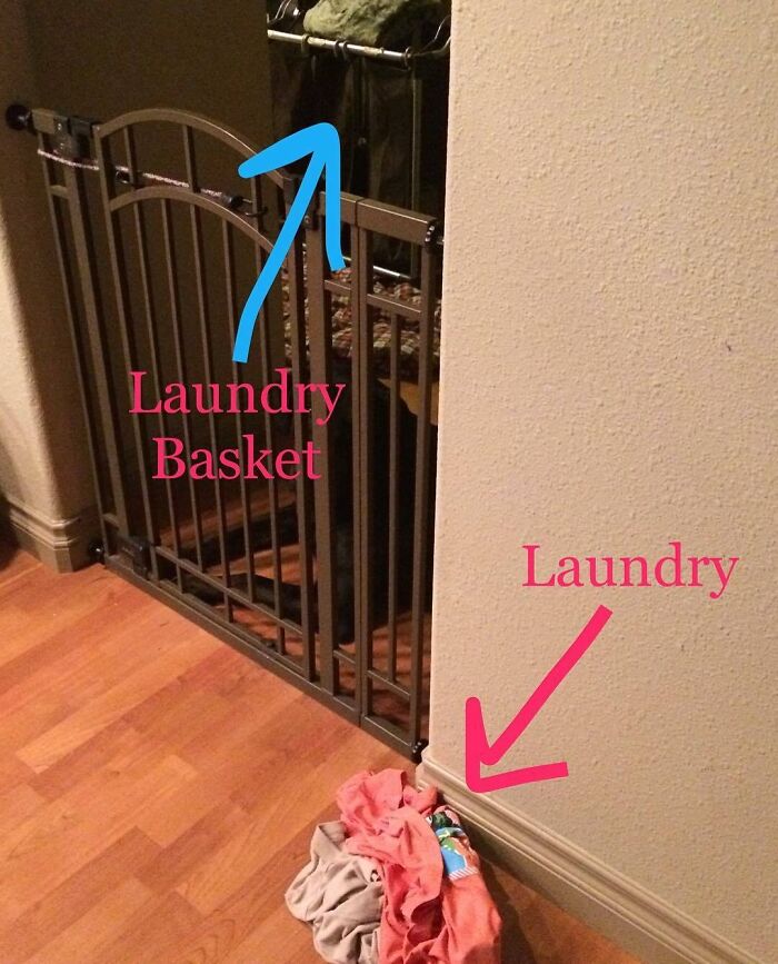 I Mean Seriously? And My Husband Complains I Leave Dishes In The Sink Not Rinsed. At Least They're In The Sink