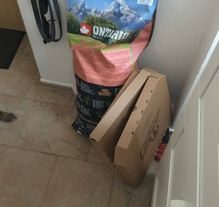 I Have Asked My Husband For 3 Days To Take The Damn Pizza Boxes Out