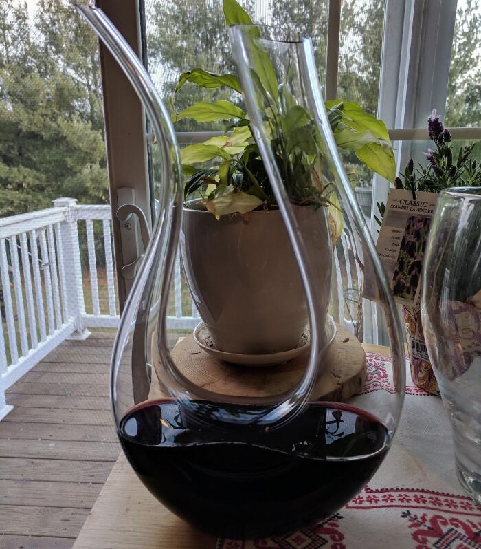 Clear glass wine decanter with red wine on a table near a potted plant and window showing outdoor deck.