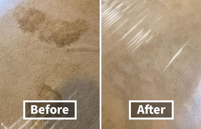 Stains Don't Stand A Chance Against This Secret Agent: Carpet Spot Remover Is Like A Ninja For Your Floors - Swift, Stealthy, And Spot-On Effective!