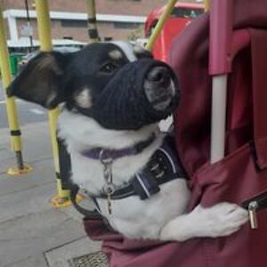 edwardmarlowe avatar