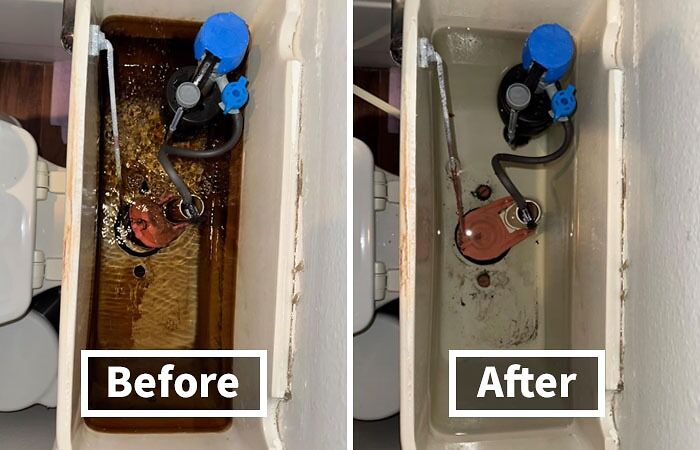  Toilet Tank Cleaner Dives Into The Depths Of Your Loo To Tackle The Gross Stuff, So You Don't Have To (Thankfully)!