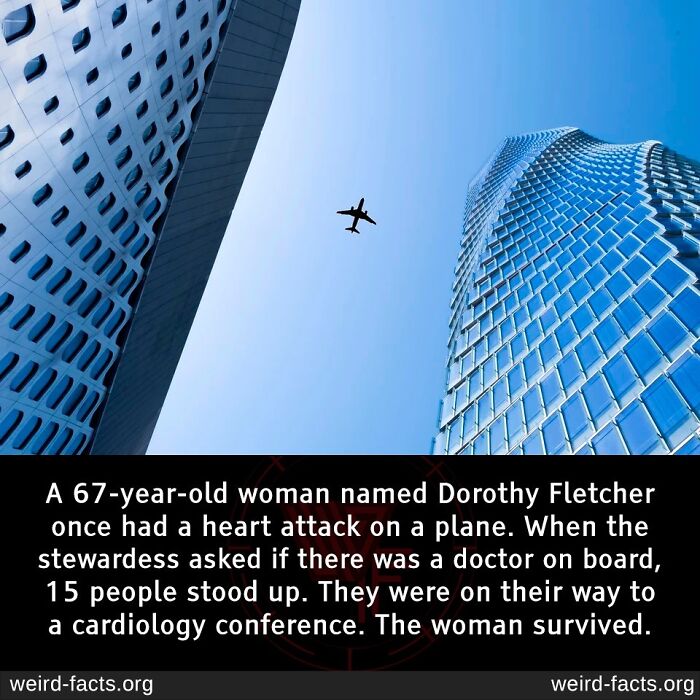 Airplane flying between two modern buildings illustrating fascinating and amusing fun facts about survival.