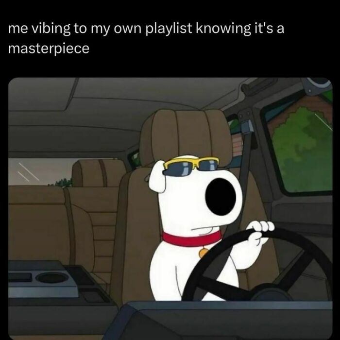 Cartoon dog wearing sunglasses driving a car with text about vibing to own playlist, a relatable meme for a laugh today.