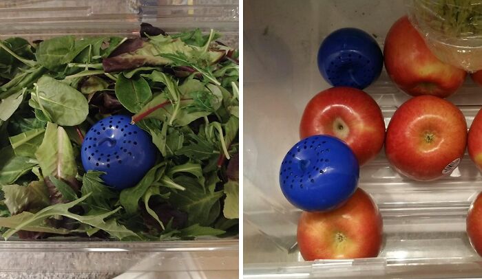 Fresh Just Got A Whole Lot Fresher With The Bluapple Produce Saver, A Clever Contraption That Keeps Your Fruits And Veggies Happy, Healthy, And Edible For Longer
