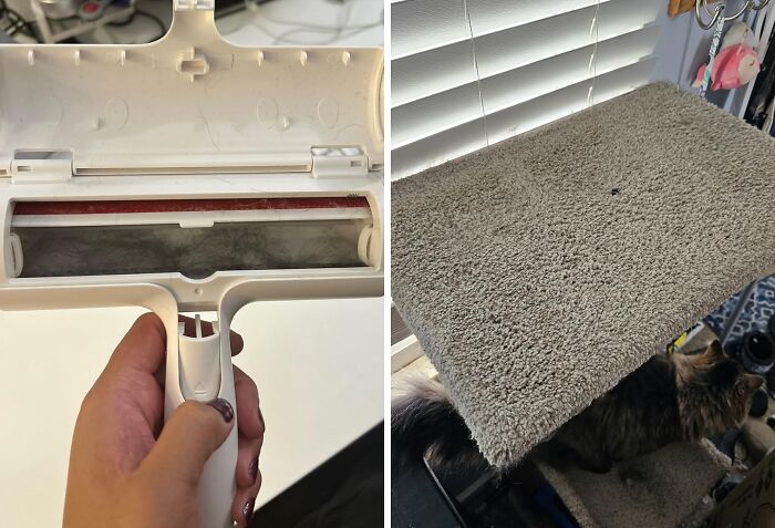 Fur-Get About Shedding Woes With The Chom Chom Roller - This Genius Tool Picks Up Pet Hair In A Snap, Leaving Your Clothes And Furniture Fur-Free!