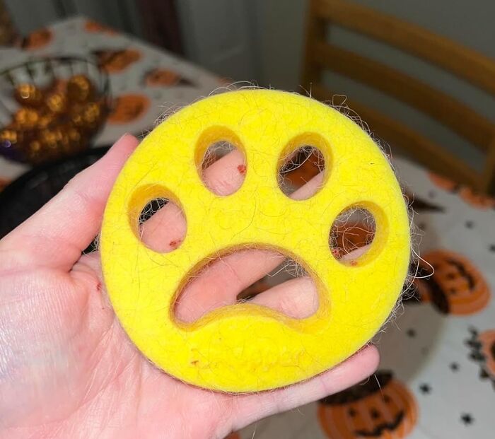 Bye-Bye, Pesky Pet Hair! The Furzapper Pet Hair Remover For Laundry Makes Quick Work Of Furry Leftovers, Leaving Your Clothes And Washer Fur-Free And Fabulous