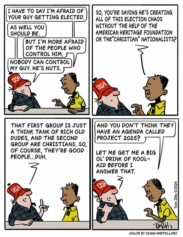 Two men discuss election chaos and conspiracy theories in a funny comic illustrating quirky side of life by artist.