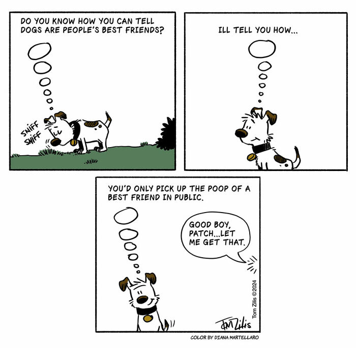Comic strip showing a dog humorously highlighting the quirky side of life through funny comics.