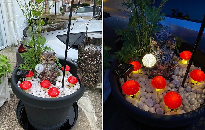 Sprout Some Whimsy In Your Yard With These Delightful Waterproof Solar Mushroom Lights 