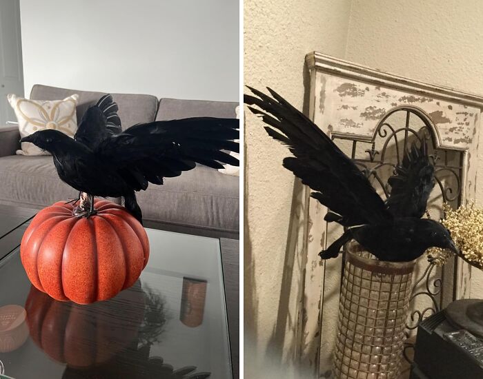 Perched In Silence, The Realistic Crow Exudes An Air Of Mournful Intelligence, Its Black Feathers Seeming To Absorb The Light Around It, Leaving Only An Unsettling Sense Of Foreboding