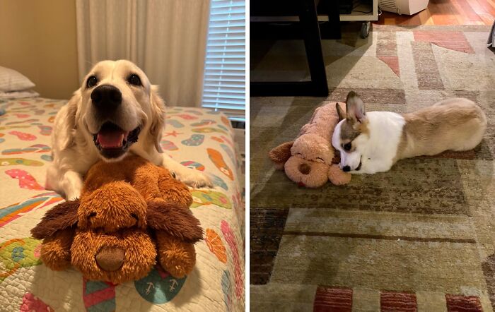 This Adorable Snuggle Puppy Heartbeat Stuffed Toy Provides Comfort And Calm For Anxious Pups, With A Realistic Heartbeat That Mimics A Mother's Love