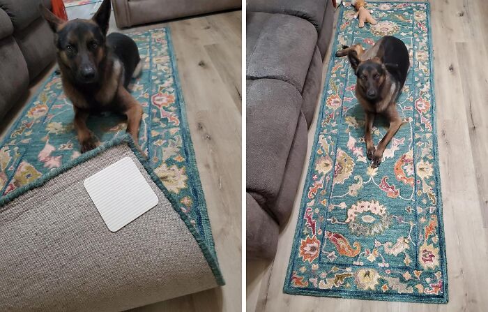  This Owner Probably Invested In These Rug Gripper Pads Because His Doggo Has A Few Too Many Zoomies