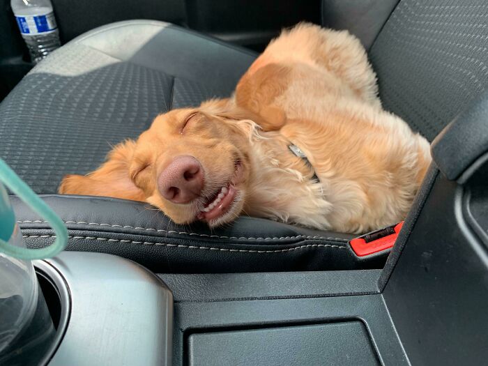 When You're Tired But You Had So Much Fun At The Park 