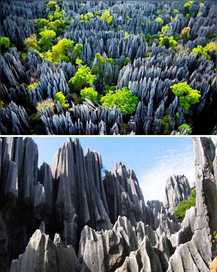 The Shilin Stone Forest In China’s Yunnan Province Is A Breathtaking Labyrinth Of Towering Limestone Pillars, Spread Over 180 Square Miles