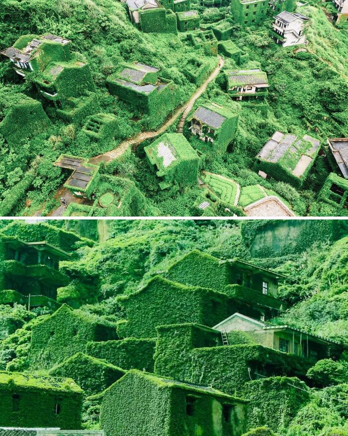 Houtouwan, Once A Thriving Fishing Village On Shengshan Island Off The Coast Of China, Is Now A Remarkable Example Of Nature Reclaiming Human Spaces