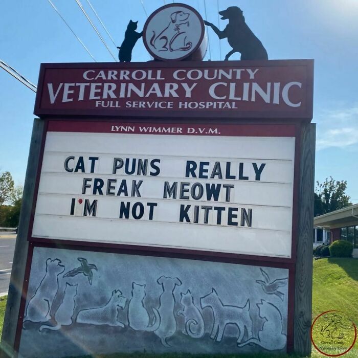 Vet hospital sign with a cat pun, "Cat puns really freak meowt, I'm not kitten."