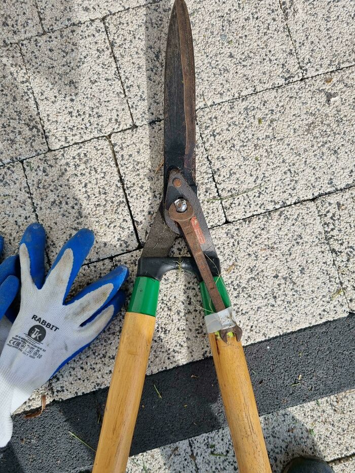 Borrowed Some Gardening Tools From My Father. That's Not Going Anywhere